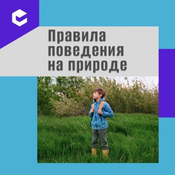 Лето — пора для долгих прогулок на природе!