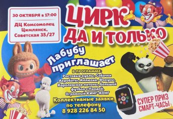 Цирк да и только!